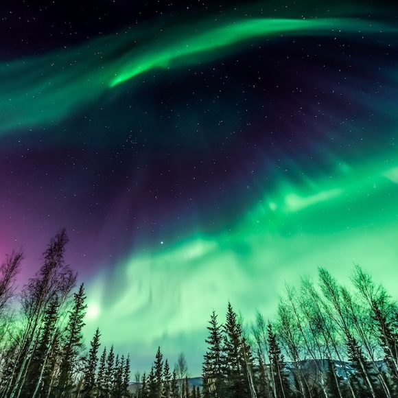 Meet your Posher, Lia - Picture 1 of 1